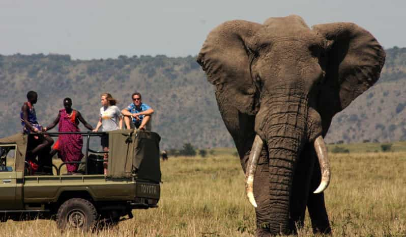 Half Day Tala Game Reserve & Natal Lion Park From Durban - Comprehensive Tour Logistics