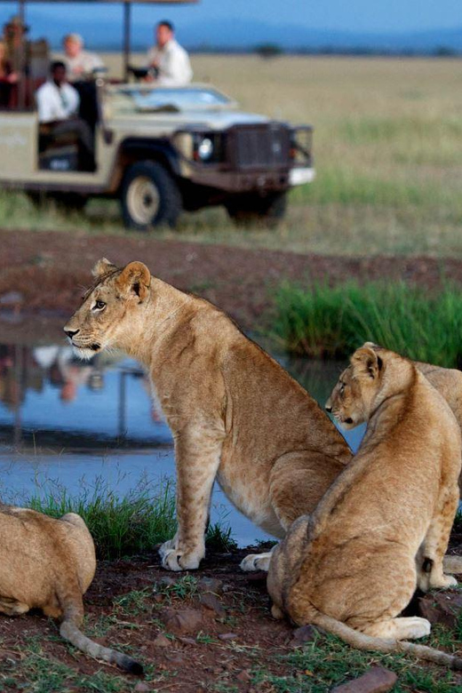 Half Day Tala Game Reserve & Natal Lion Park From Durban - Accessibility and Pickup Convenience