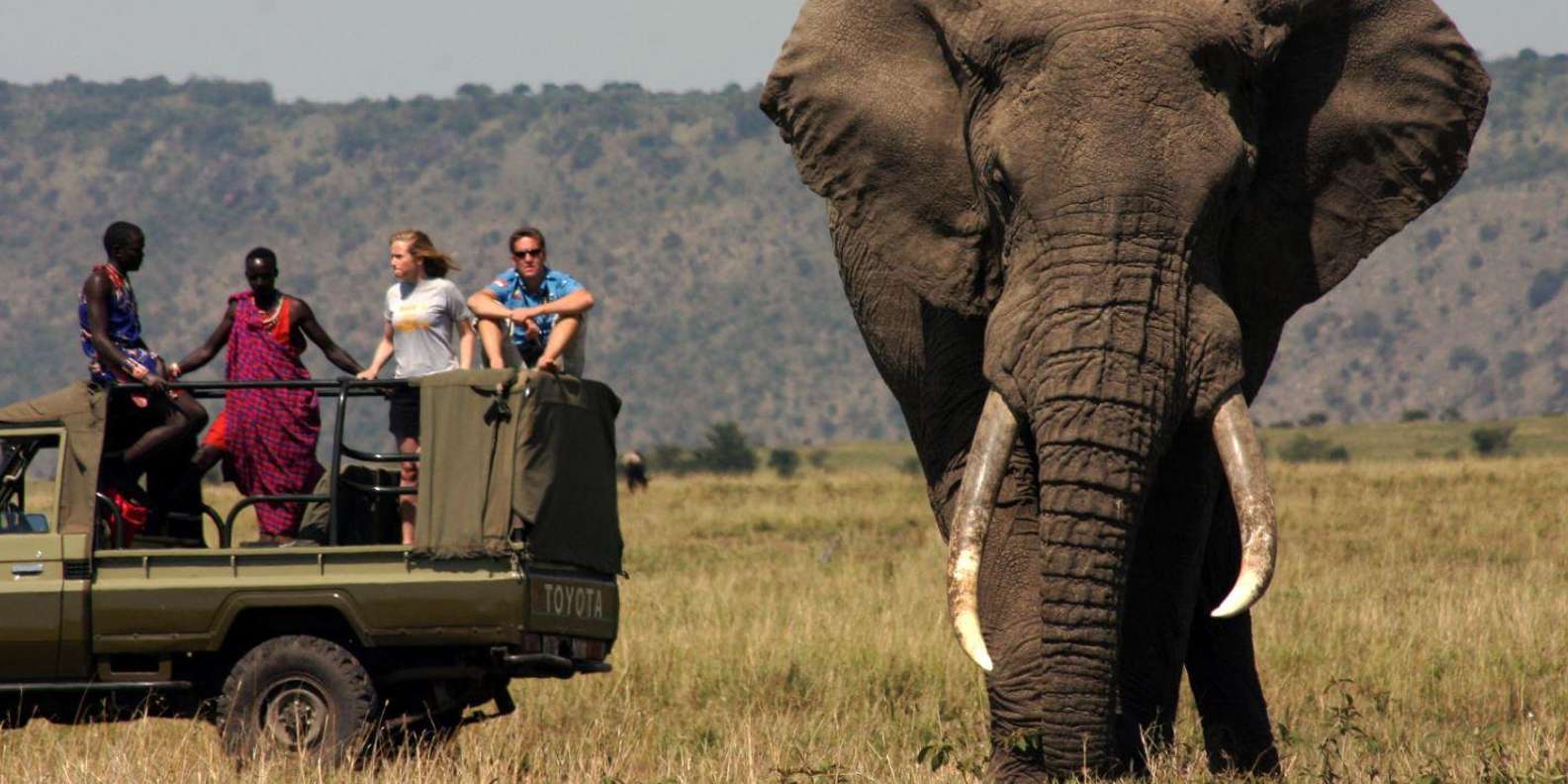 Half Day Tala Game Reserve & Natal Lion Park From Durban - Accessibility for All Travelers