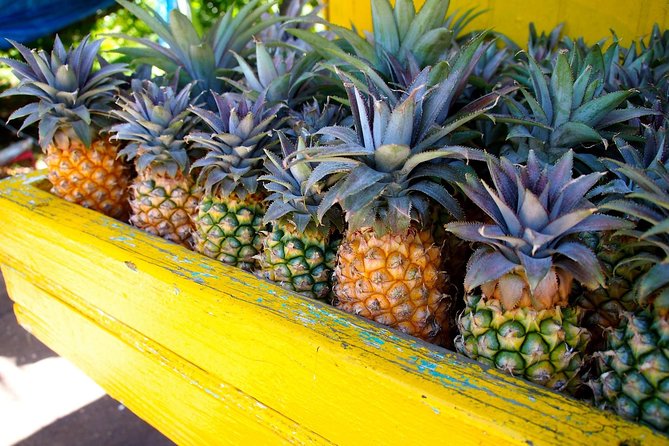 Half-Day Tour: A Taste of Paradise and History of Antigua - Accessibility and Physical Requirements