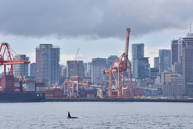 Half-Day Whale Watching Adventure From Vancouver - Accessibility and Guest Requirements