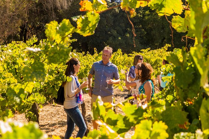 Half-Day Wine Country Tour From San Francisco - Meeting Point Information