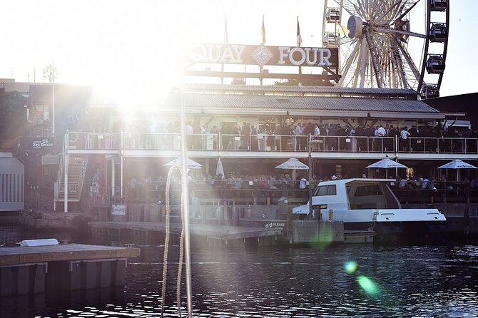 Half Hour Seal and Harbour Cruise From Cape Town - Traveler Reviews and Feedback