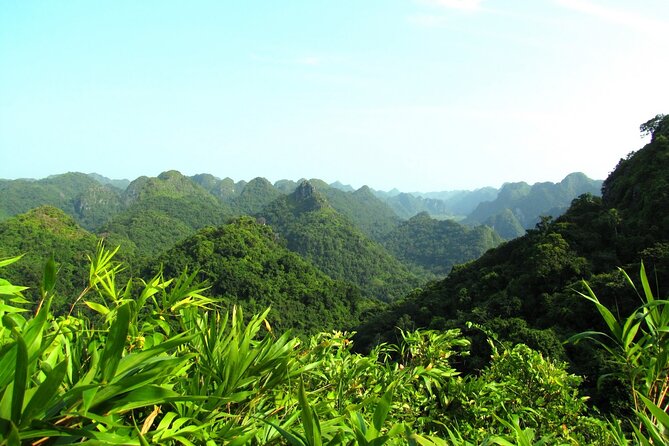 Halfday Trekking Cat Ba Butterfly Valley (More Intense) - Preparing for Your Trek