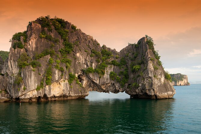 Halong Bay 6 Hours Cruise With Buffet, Sung Sot, Luon Cave, Titop - Accessibility Information