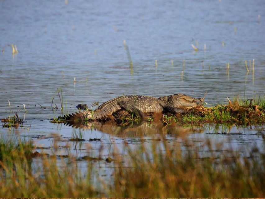 Hambantota Harbor: Safari at Lunugamvehera National Park - Connecting to Udawalawe and Yala