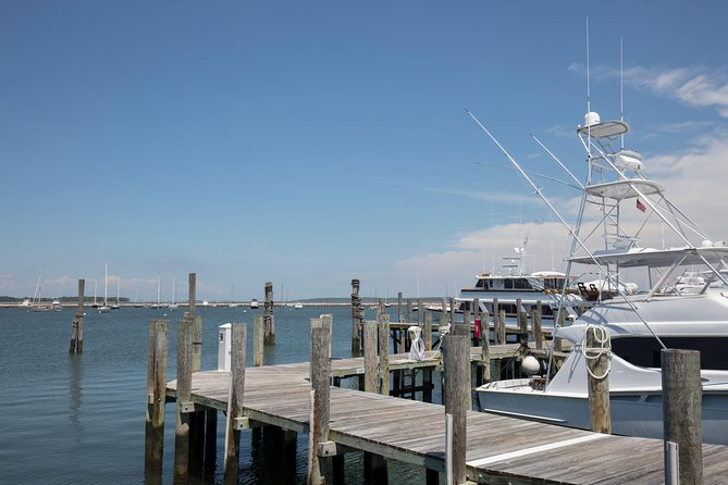 Hamptons, Sag Harbor & Outlet Shopping, 1-Day Tour From NYC - Departing From New York City