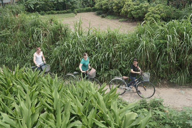 Hanoi Backstreet Bicycle Tour - Cultural Insights