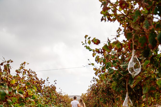 Heraklion Private Half-Day Gastronomy Diaries Experience in Lyrarakis Winery - Logistics and Inclusions