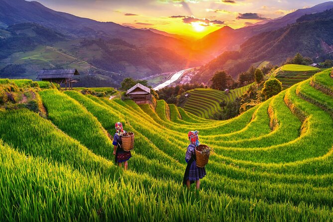 Highlights of Northern Vietnam In 6 Days - Day 4: Halong Bay Experience