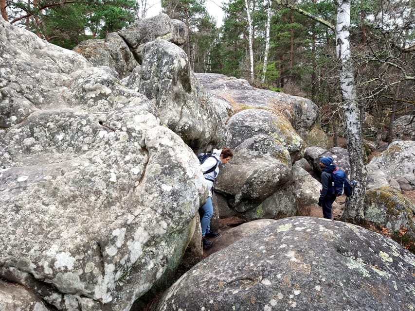 Hiking Adventure in the Fontainebleau Forest - Bouldering Opportunities