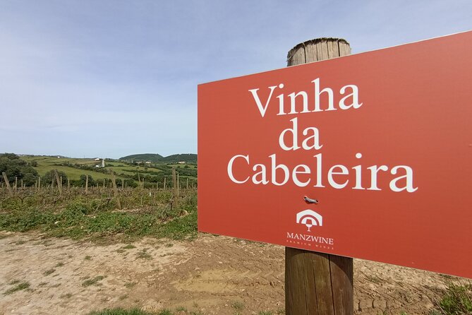 Hiking and Wine Tasting Experience - Contact Options for Support