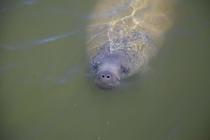 Hiking + Kayaking Tour in Everglades National Park W/ Wet Walk! - Booking and Cancellation Policy