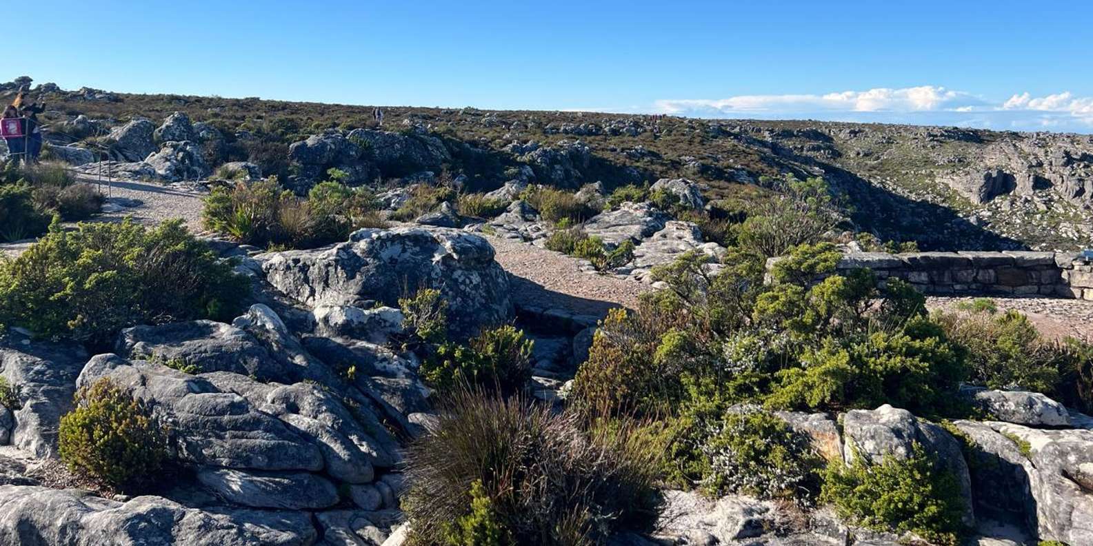 Hiking Table Mountain in Cape Town on a Private Day Trip - Embracing the Picnic Lunch Scenery