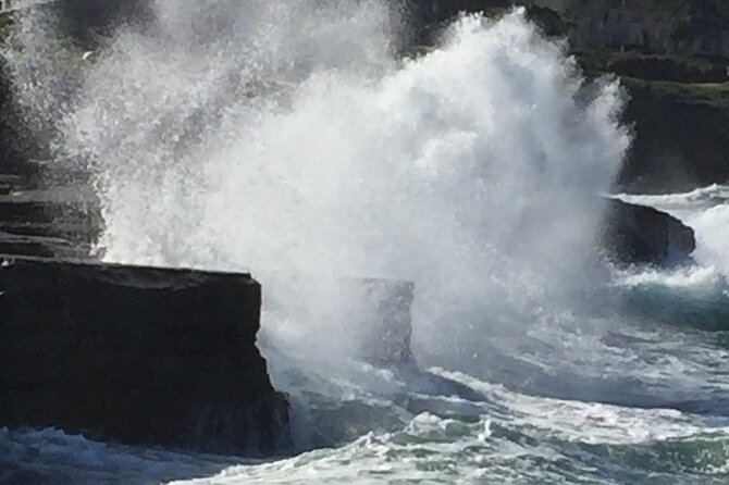 Historic La Jolla Walking Tour - Booking Your Tour