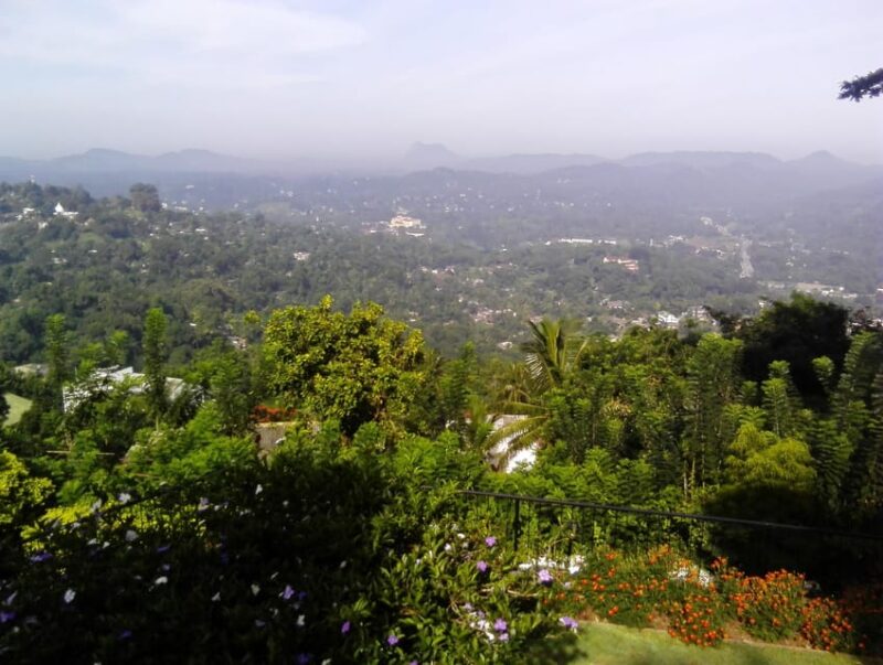 Historical Sri Lanka 5 Days Tour - Day 3: Dambulla and Kandy