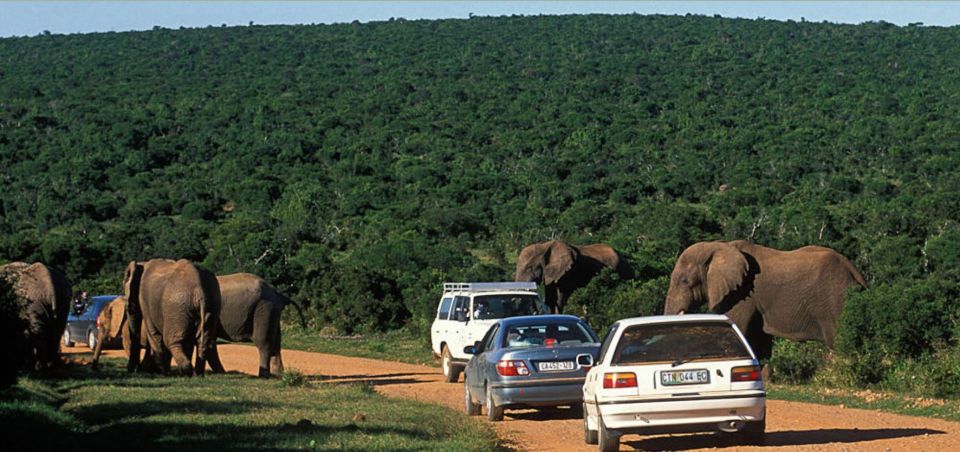 Hluhluwe Imfolozi Day Tour 4x4 Game Drive - From Durban - Scenic Highlights of the Game Drive