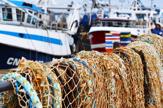 Honfleur Private Walking Tour - Traveler Reviews