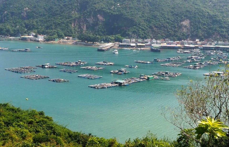 Hong Kong: Lamma Island Walking Tour With Lunch - Booking Information