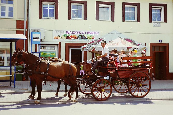 Horse and Carriage Tours With Polish Traditional Food Experience - Visitor Reviews