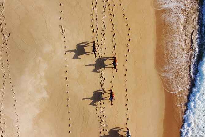 Horse Riding on Melides Beach - Accessibility and Restrictions