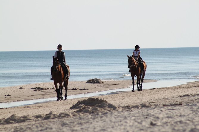 Horse Riding on the Beach, Rhodes - Reviews and Traveler Feedback