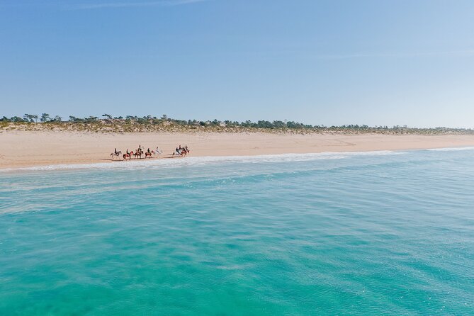 Horse Riding on the Beach With Private Transfer From Lisbon - Scenic Beach Ride