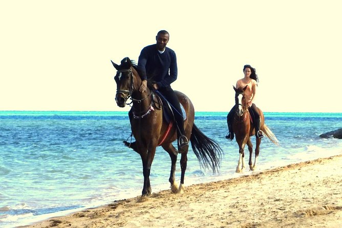 Horse Riding Tour 2 Hours Sea and Desert With Transfer - Hurghada - Guide Behavior Issues