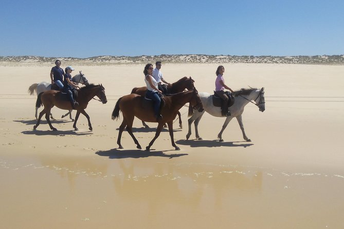Horse Riding Tour on the Beach Lisbon Region - What to Expect During the Ride