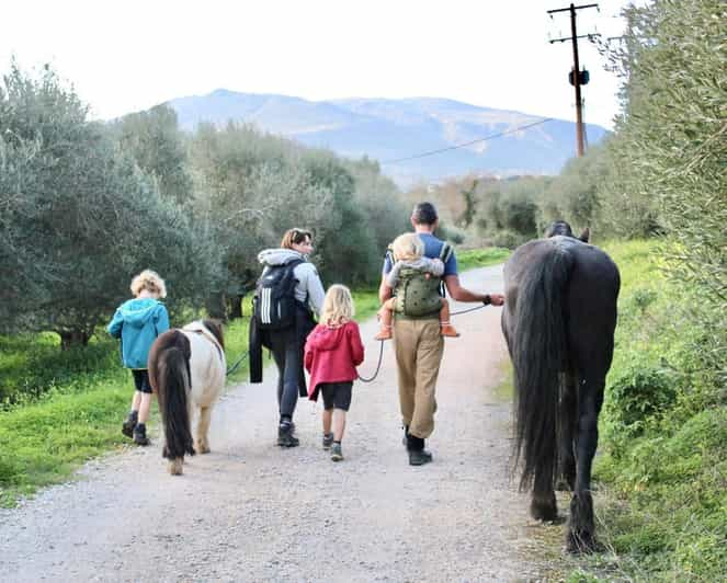 Horse Walking and Olive Oil Tasting - Recommendations and Restrictions