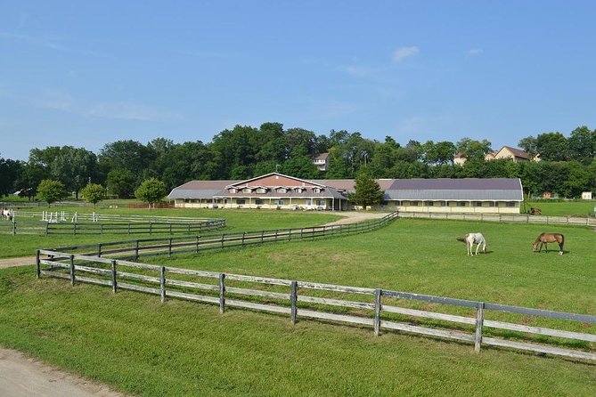 Horseback Rides, Interactions, and Petting Zoo - Directions to the Equestrian Center