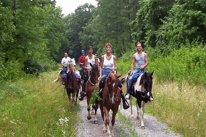 Horseback Riding Adventure Tour From Kusadasi and Selcuk - Traveler Photography Opportunities