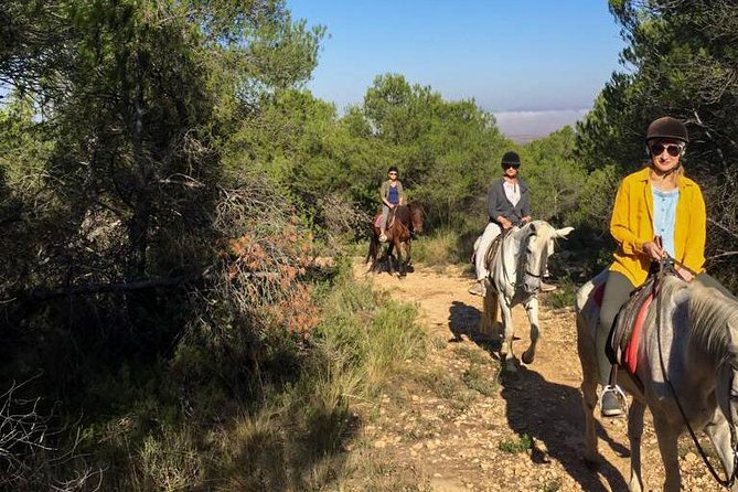 Horseback Riding and Wine Tour (Private Tour) - Tour Details