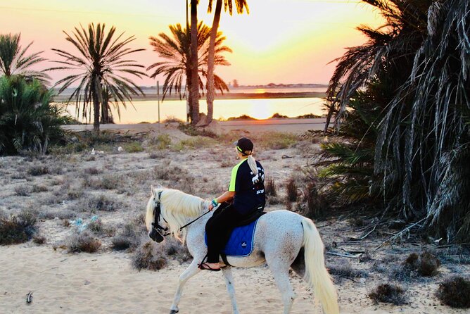 Horseback Riding at Sunrise 3h - Health and Safety Guidelines
