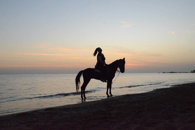 Horseback Riding by Beach or Forest in Manavgat Side - Natural Scenery Options