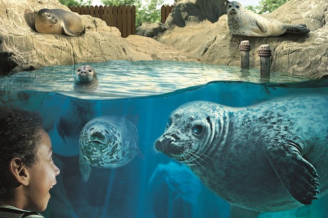 Hunstanton SEA LIFE Sanctuary General Admission Ticket - Feeding Demonstrations