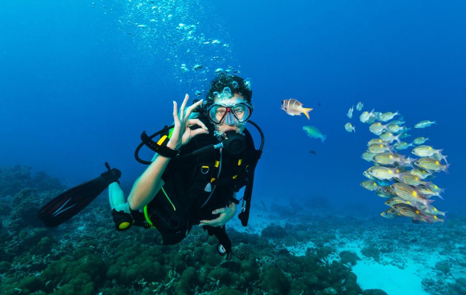 Hurghada: Diving and Snorkeling Tour With Transfers - Customer Reviews and Feedback