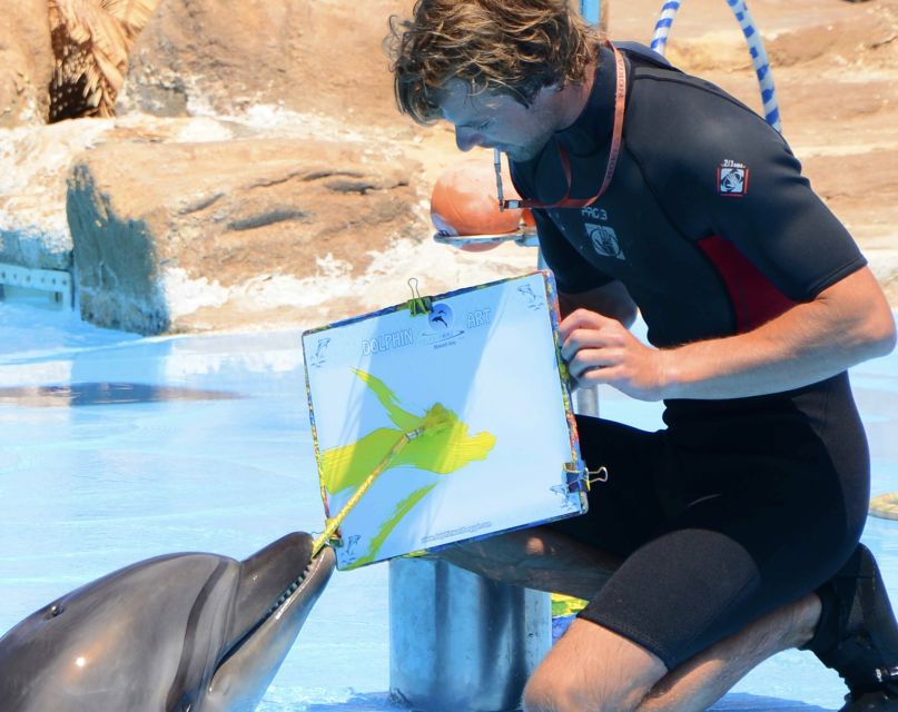 Hurghada: Dolphin World Show With Walruses and Pickup - Important Visitor Information