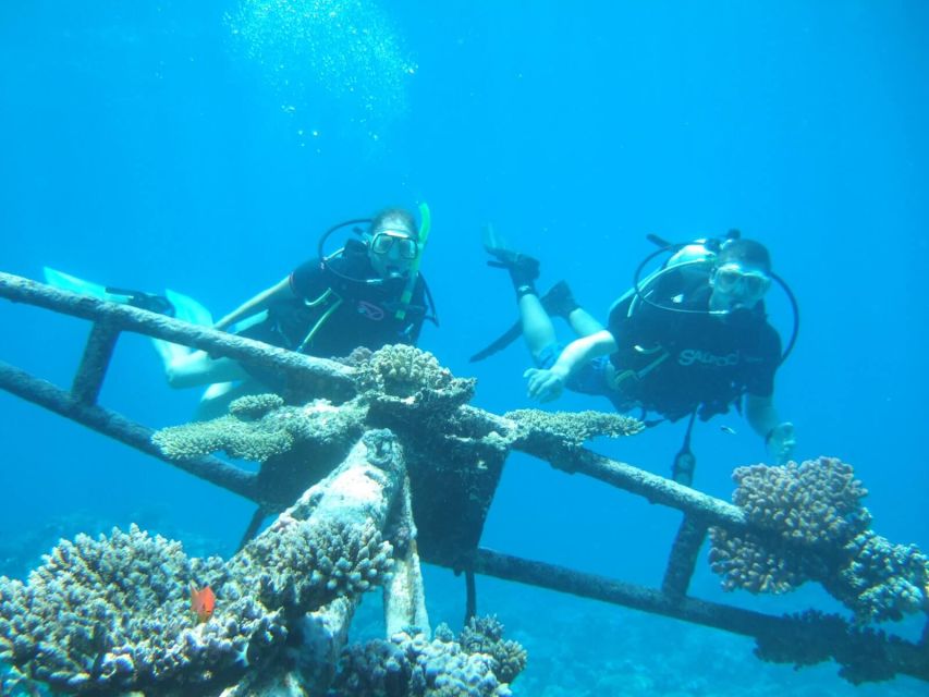 Hurghada Scuba Diving Trip With Pick-Up, Lunch - Experience and Safety