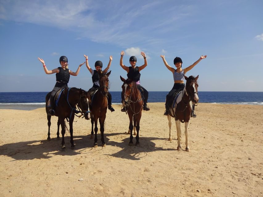 Hurghada: Sea & Desert Horse Tour, Stargazing, Dinner & Show - Customer Feedback