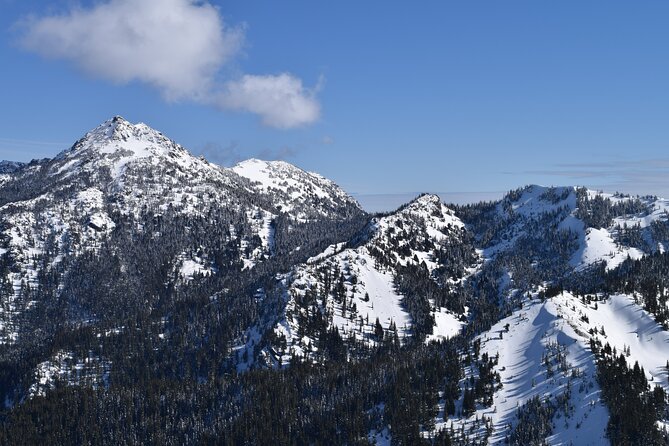 Hurricane Ridge Guided Snowshoe Tour in Olympic National Park - Pricing Details