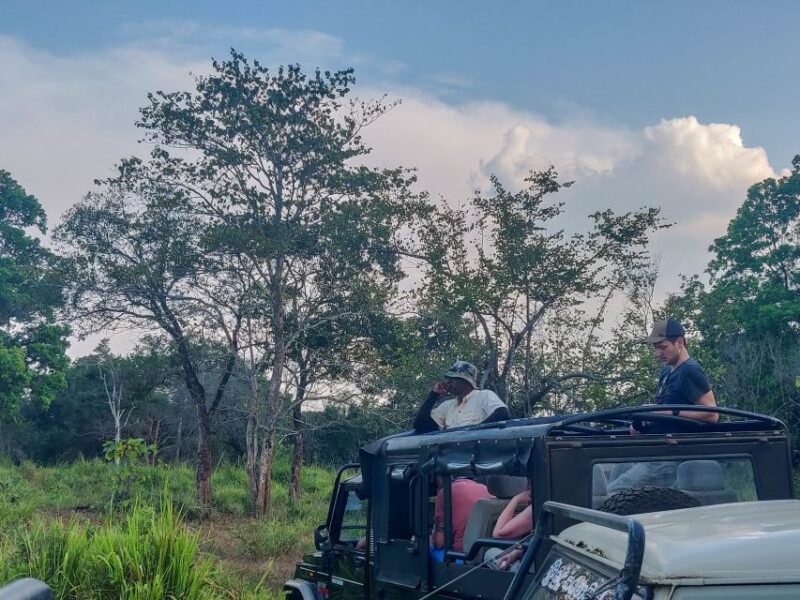 Hurulu Eco Park: 3-Hour Morning or Evening Safari - Safari Inclusions and Logistics