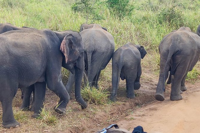 Hurulu Eco Park Private Safari - Customer Reviews and Ratings