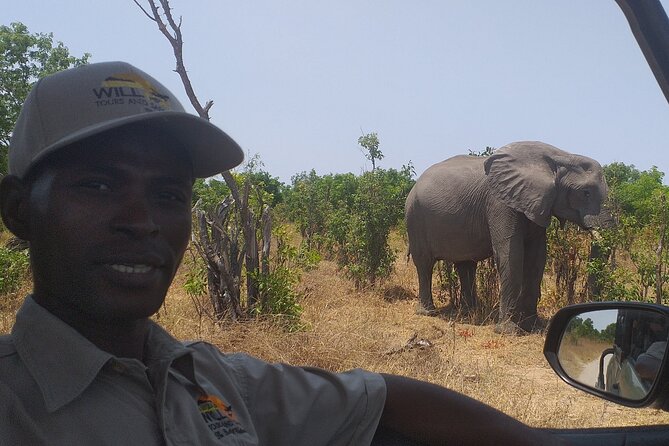 Hwange National Park Full Day Trip - Positive Reviews and Feedback