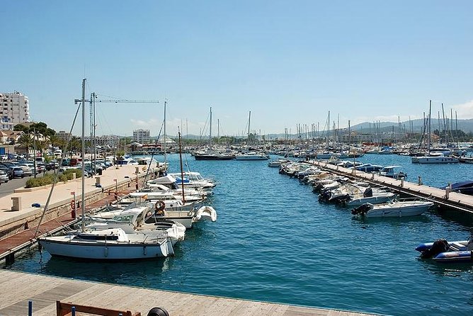 Ibiza Island Tour: Punta Arabi Local Market Review - Since You Asked