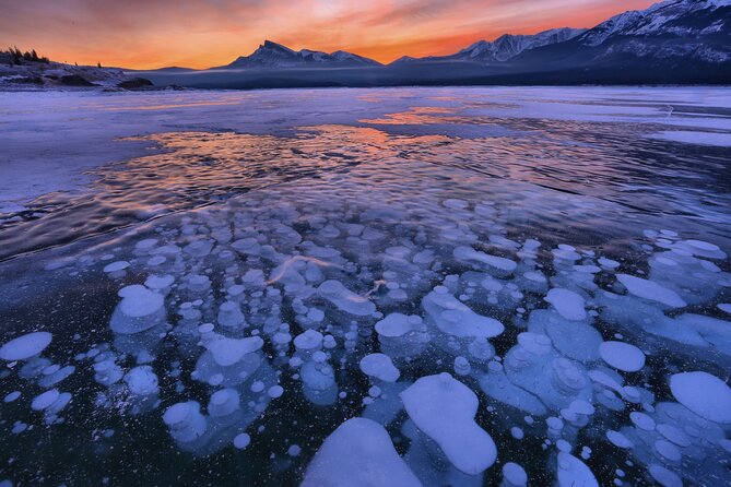 Icefields Parkway & Ice Bubbles of Abraham Lake Adventure - Accessibility and Participation