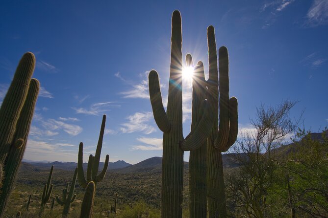 Iconic Toms Thumb Guided Hiking Adventure in Scottsdale, Arizona - Pricing and Reservation Details