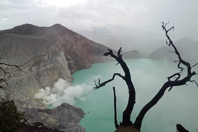 Ijen Crater Private Guided Trekking Tour From Bali - Reviews and Feedback
