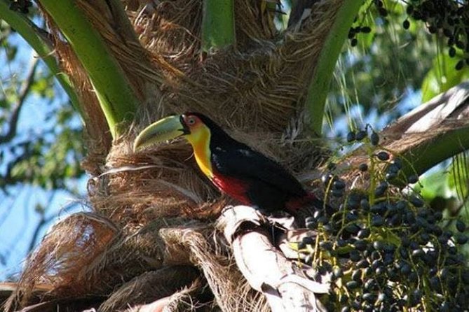 Ilhabela: A Real Paradise In The Coast Of São Paulo – 3-Day Private Tour - Inclusions and Costs Covered