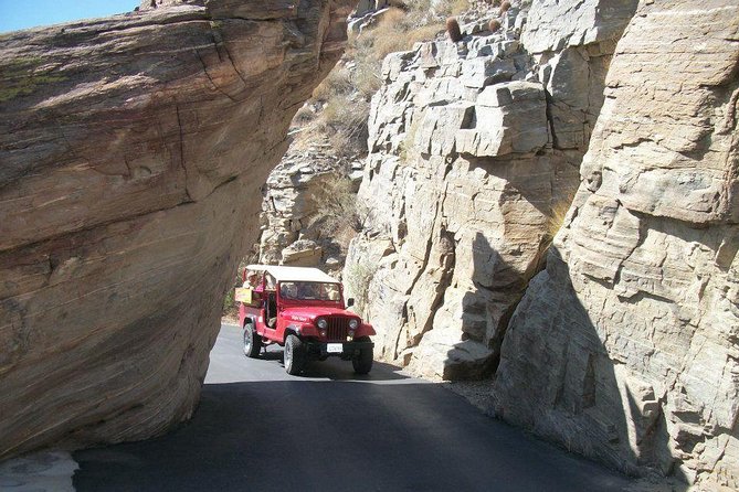 Indian Canyons Hiking Tour by Jeep From Palm Springs - Traveler Reviews and Experiences